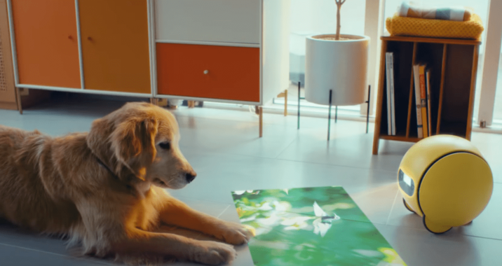 What CES 2024 told us about the home robot