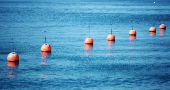 Wittaya Aqua's data-driven AI helps seafood farmers increase aquaculture production