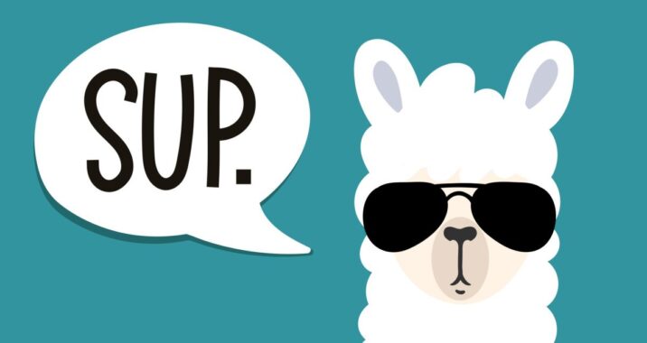 Meta Llama: Everything you need to know about the open