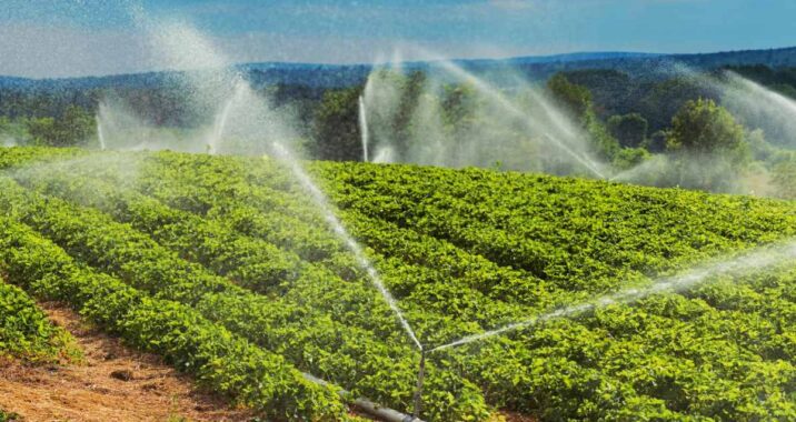 Instacrops will weaken AI saving water,