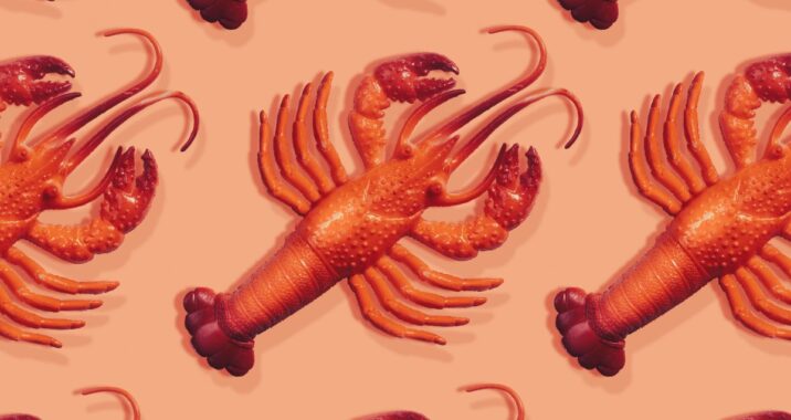 Everything you need to know about Clawdbot (now Moltbot) AI