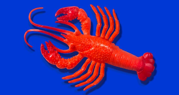 OpenClaw's AI assistants are now building their own social network